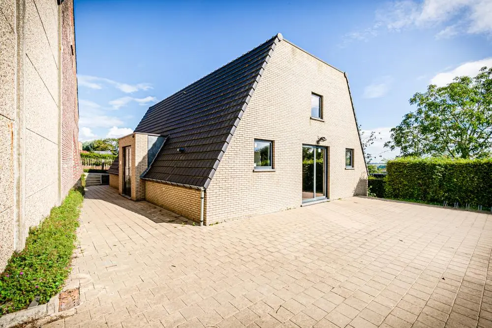 Foto van De Dwerggeus